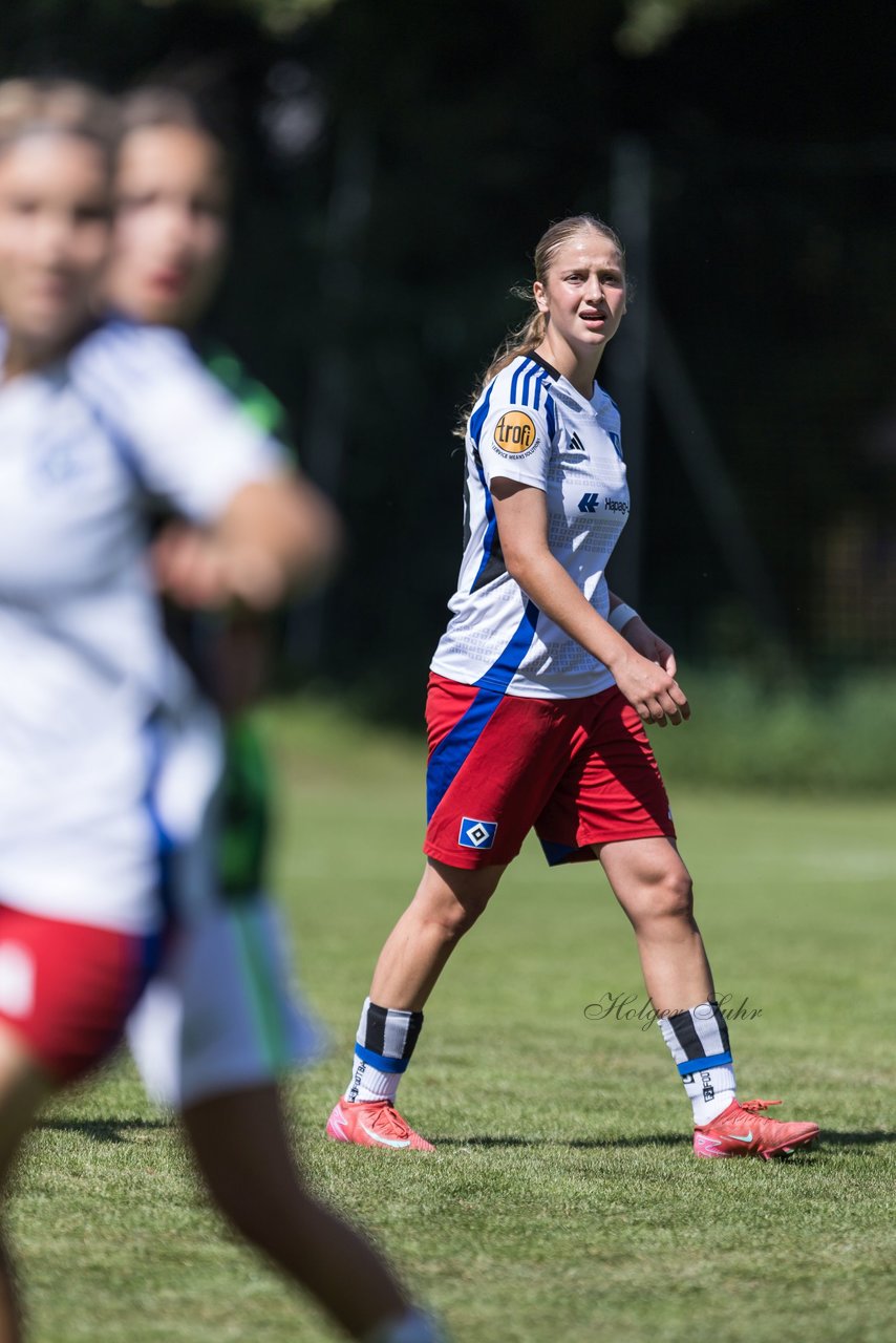 Bild 151 - wBJ Hamburger SV - VfL Wolfsburg : Ergebnis: 5:1